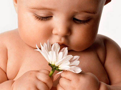 ������ �����