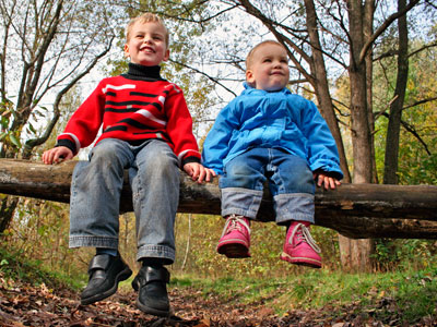 ���������� ����