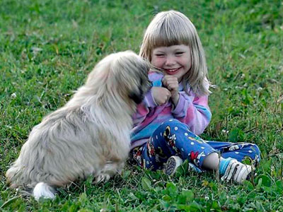 ������ ��� ���������