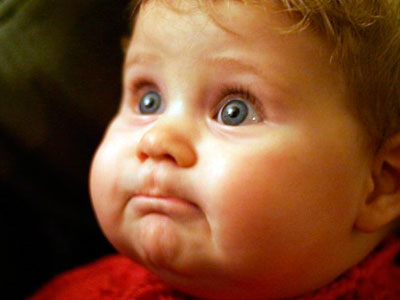 ������������� �������