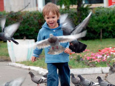 ���� ������� ����